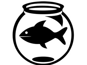 Scott Fish Bowl 16 Rankings