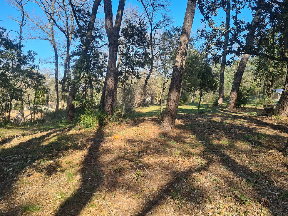 Vue extérieure du Domaine Santalou avec sentiers de promenade et nature environnante