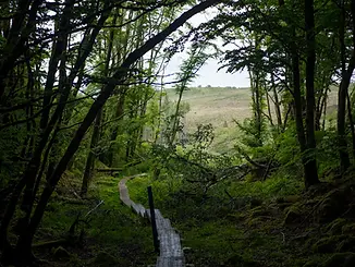 Cavan way.webp