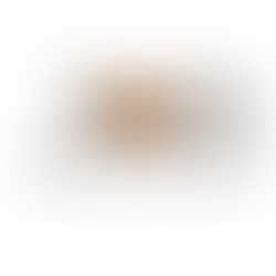 2026 Timber Gate Trends graphic with wooden gate illustration replacing the zero in 2026