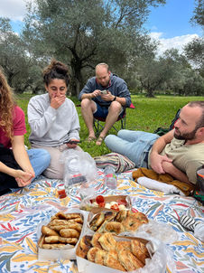 כפר הסטודנטים איילים לוד