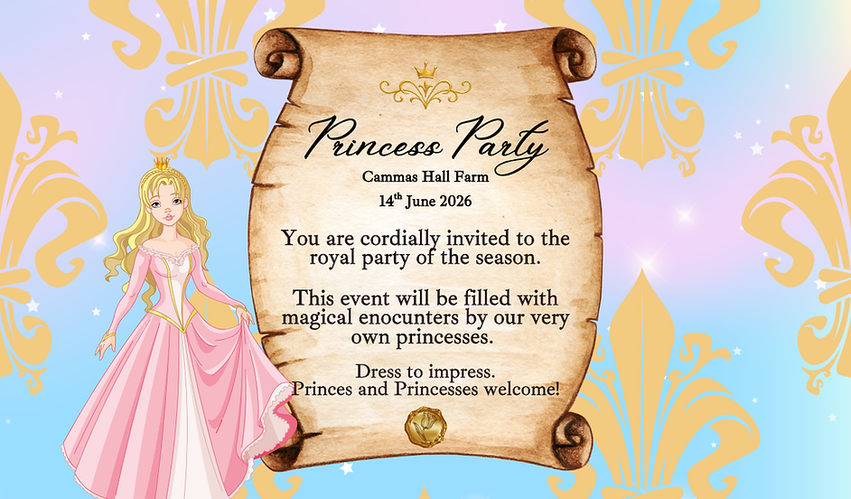 Princess Party .png