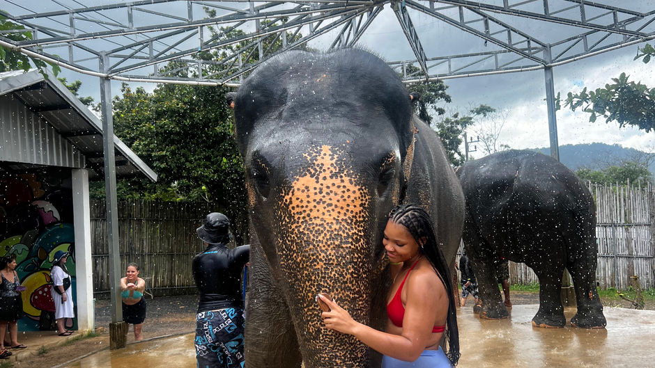 OMG! Just met an Elephant