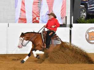 All American Quarter Horse Congress