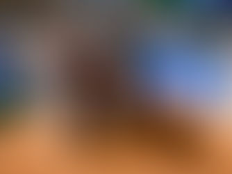 AQHA World Show Senior Reining Champions - Score 231!