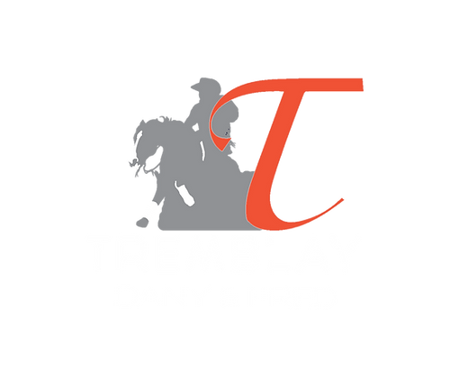 Reining horses for sale, Dany and Fred Tremblay, Tremblay Reining Horses.jpg