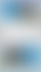 Academy Fund Activity through 12/15/2020