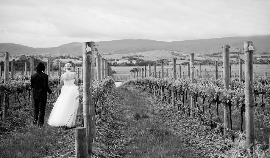 casual and relaxed winery wedding in Melbourne