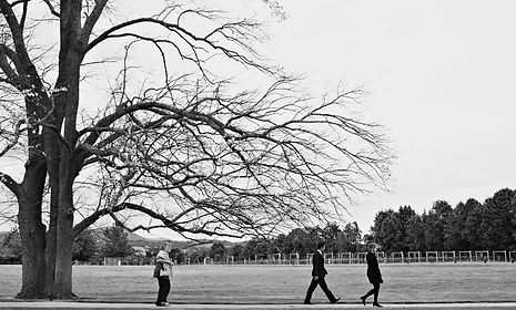 Yarra Valley wedding Photography