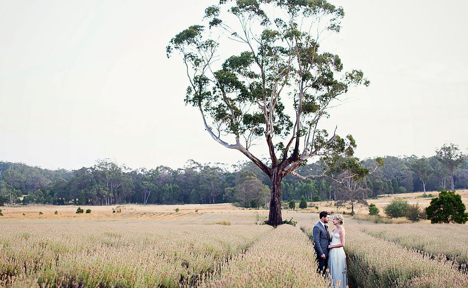Sault wedding photos Daylesford