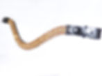 Gold Crystal Snap On Browband