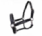 Horse Tack Black Leather Crystal Halter