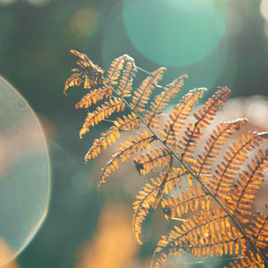 Nature, Landscape & Architecture
