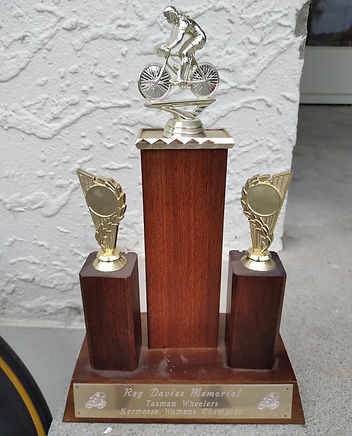 Reg Davies Memorial Trophy.jpg