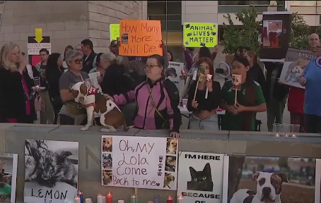 San Jose Shelter Facing Lawsuit After Rise in Animal Deaths Over the Last Three Years