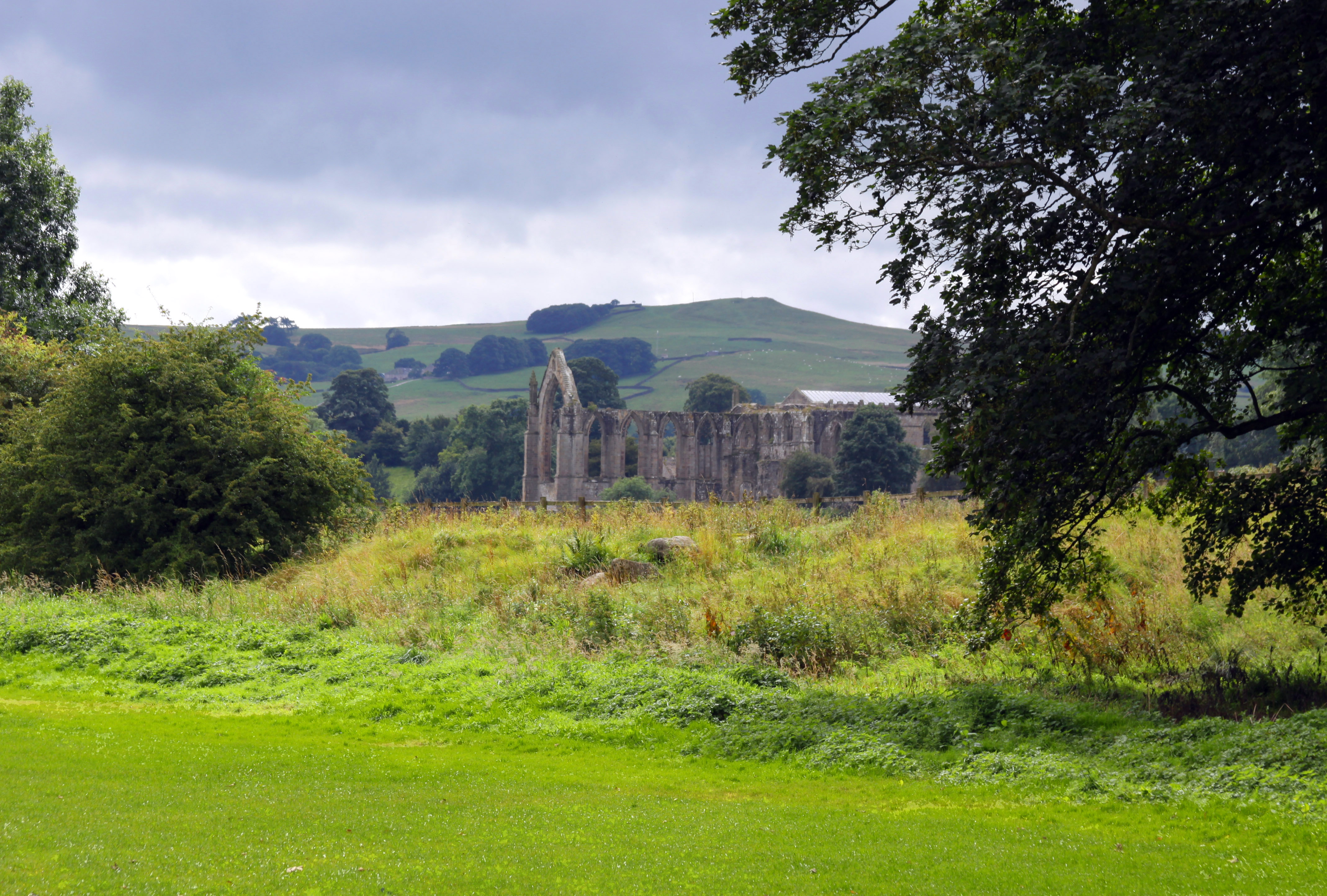 Bolton Abbey through the trees
