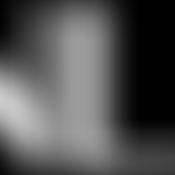 The performances of SNL50: The Homecoming Concert