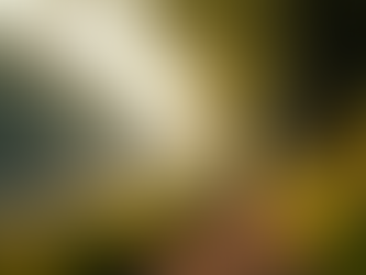 Top Things to See and Do in Preston