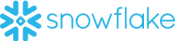 Snowflake_Logo.svg 1.png