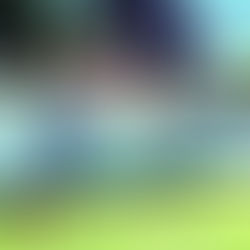 O oásis da alta performance