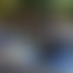 Città America recebe a edição de Primavera do Spa do Bem  