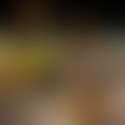 Novo modelo de loja do Pão de Açúcar inaugura na Barra