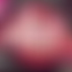 Rio Fashion Day e Festival da Cerveja acontecem juntos no Linkmall no fim de semana