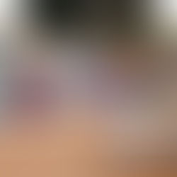 Tem Dog Weekend, neste sábado e domingo, no VillageMall