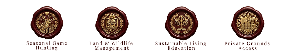 icon strip (2).png