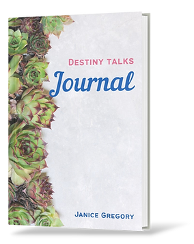 cover_journal_shadow.png
