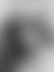 The Claim: Stein to Be a Doctor of the Church