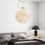 Thumbnail: Ceiling hanging Lamp