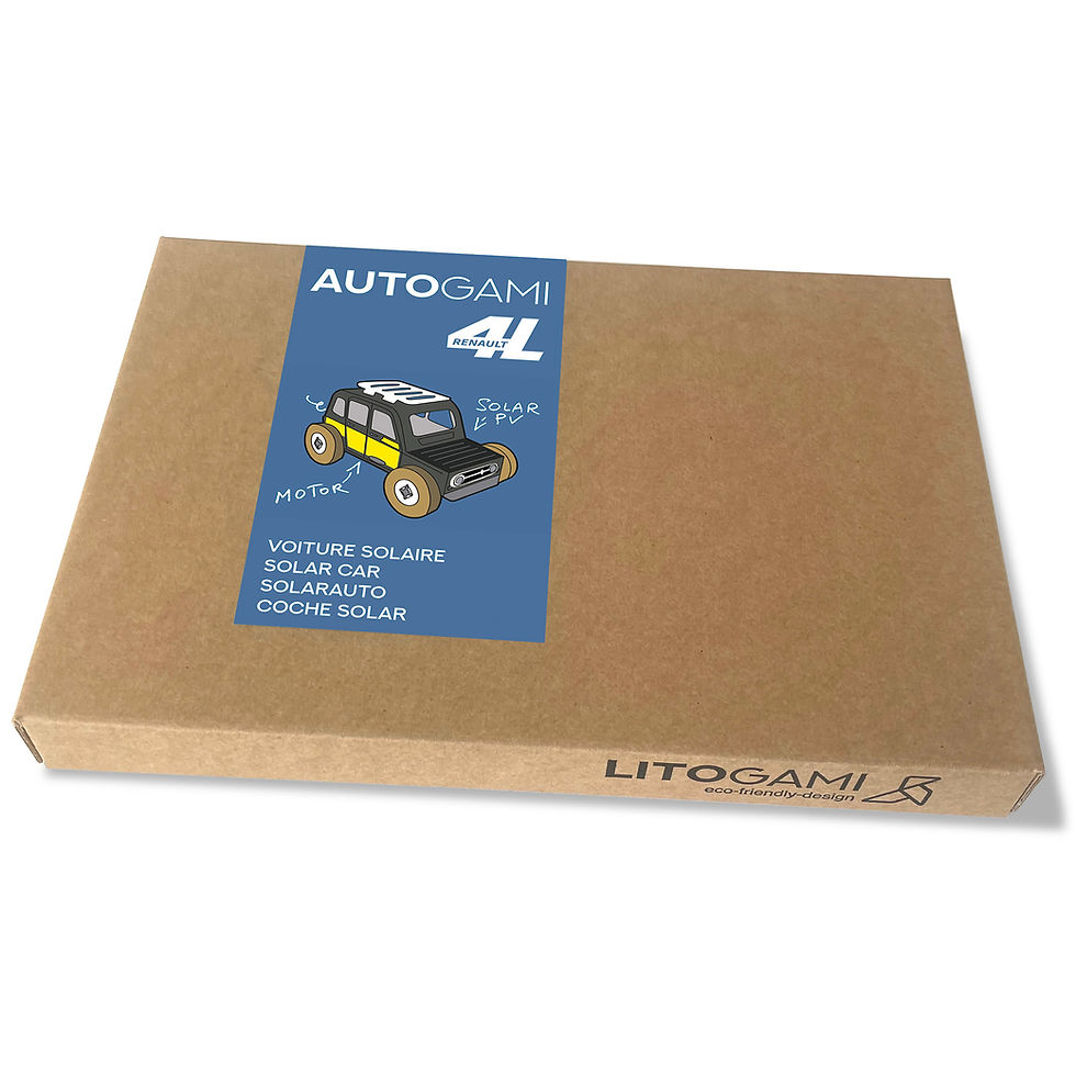 Miniature : PACK Autogami 4L Renault 12 Pcs