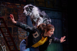 Mutts Gone Nuts at the Florida Theatre