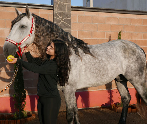 Clínica de rehabilitación