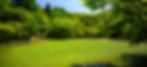 grass field with trees during daytime_edited.jpg
