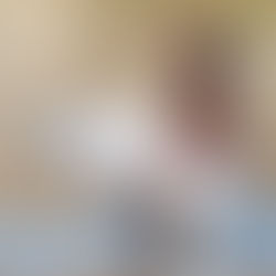 Moorente in Rothrist zu Besuch