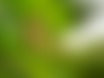 Papiliorama Kerzers Januar 2025