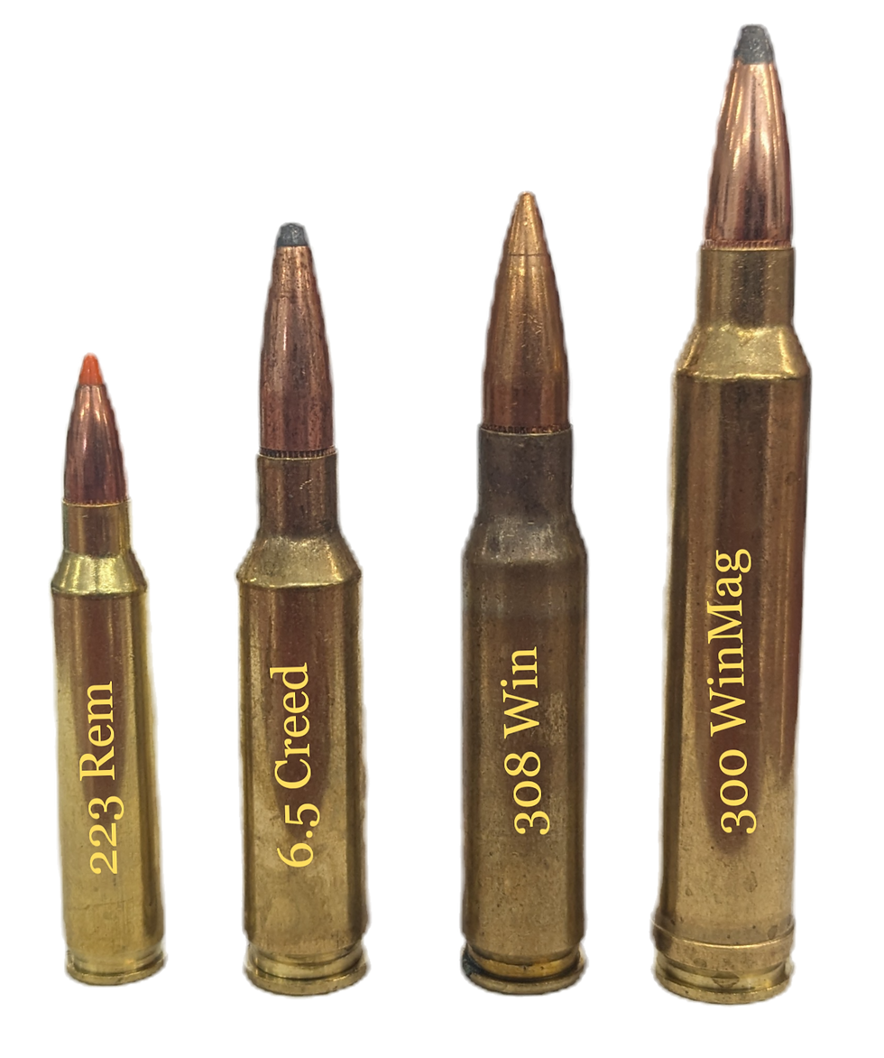 Four different rifle cartridges are lined up. Left to right: 223 Rem, 6.5 Creed, 308 Win, 300 WinMag, with visible labels and copper tips.