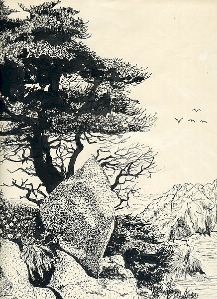 Coast of Monterey, by Trish Hall