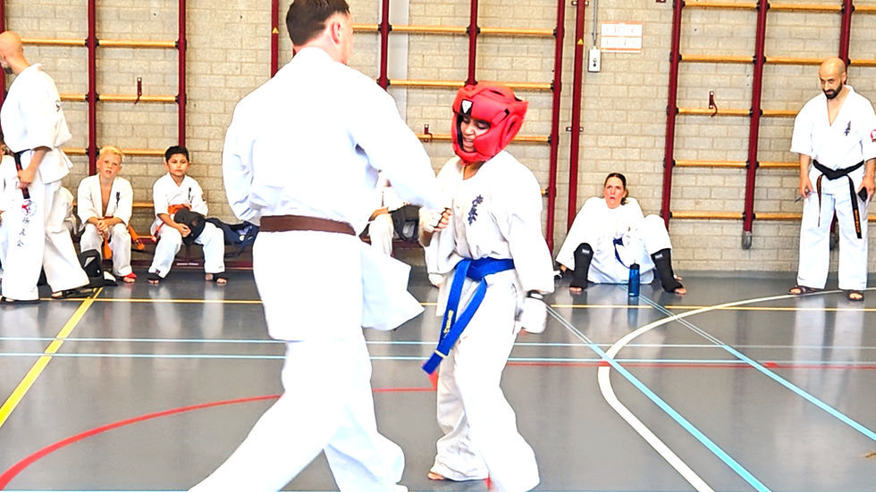 Zie de laatste 2 gevechten van Safae voor gele band full contact karate. 