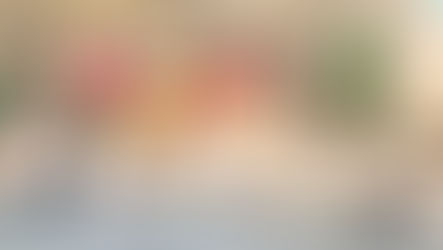 Kickboksen: 22 examenkandidaten bij Budokai-Peek – een record!