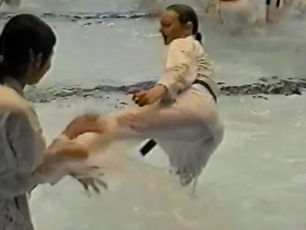 Beelden Karate Zwembadtraining 2002