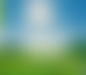 The Couplet Collection