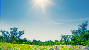 The Couplet Collection