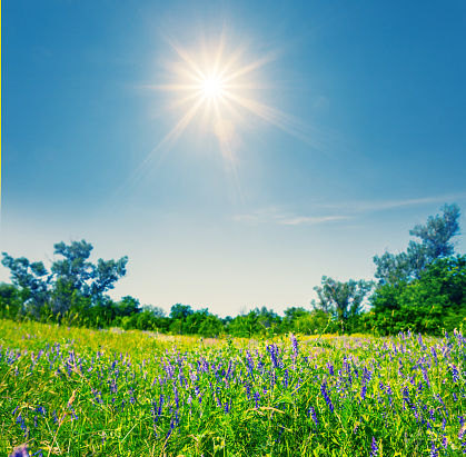 The Couplet Collection