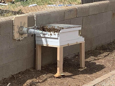 Langstroth_Hive.jpg
