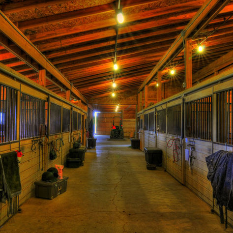 Part 2: Top Tips for Horse Farm Health & Protection