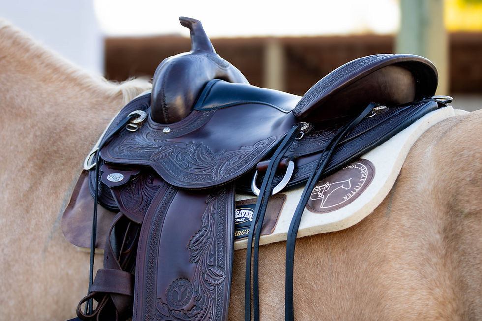 Key Considerations for Saddle Fit