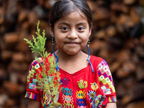 UNESCO Global Education Monitoring Report | Education and Climate Change